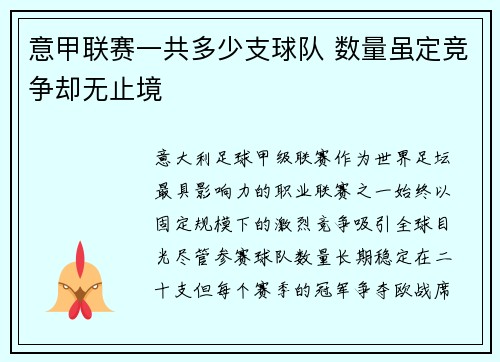 意甲联赛一共多少支球队 数量虽定竞争却无止境
