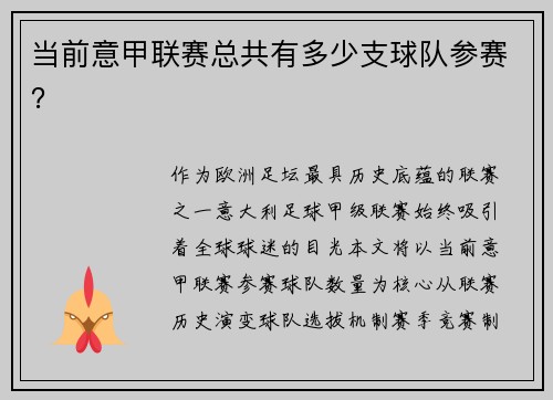 当前意甲联赛总共有多少支球队参赛？