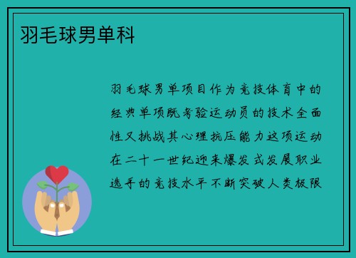 羽毛球男单科