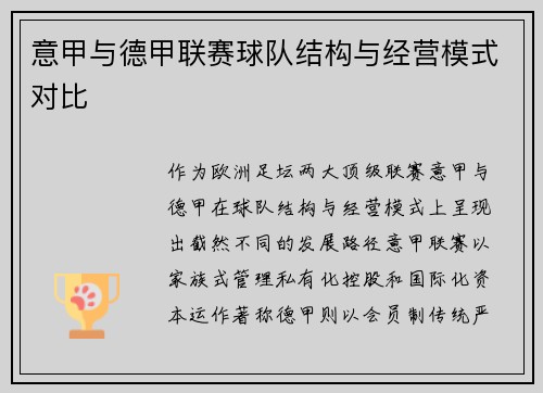 意甲与德甲联赛球队结构与经营模式对比